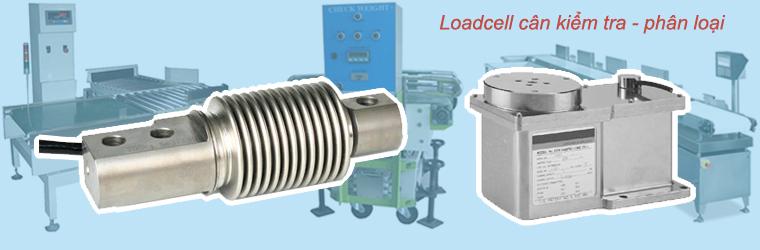 Loadcell cân kiểm tra